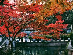 -西湖天地
