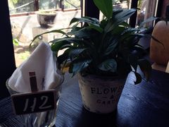 -Local泰莲庭(虹鳟鱼店)