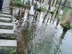 -重庆彩云湖湿地公园
