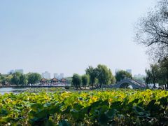 -长春市南湖公园