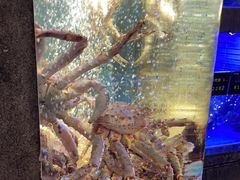 -徐记海鲜(曲江南湖店)