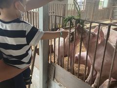 -大连北马山庄