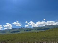 -新疆那拉提国家旅游度假区