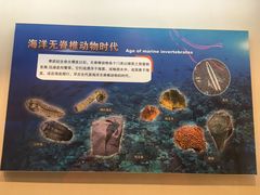 -甘肃地质博物馆