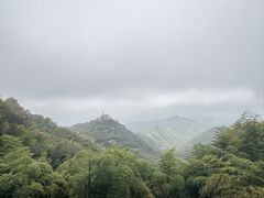 -莫干山风景区