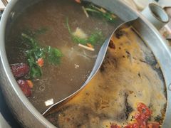 草本锅底-菌子鲜汤野生菌锅