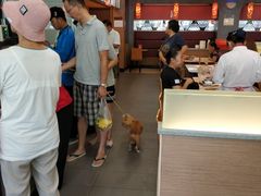 -泰煌鸡·上海白斩鸡·沪菜(平利店)