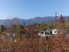 -塔川景区