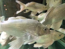 点击看大图 -Zoolung Zoolung动物主题公园(海信广场店)