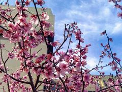 -山东师范大学(千佛山校区)