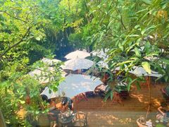 -Fern Forest Cafe
