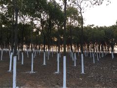 -艾溪湖湿地公园