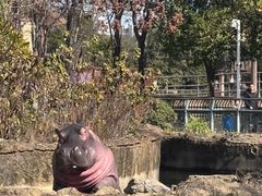 -南昌动物园