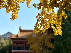 -南京市江宁方山