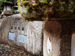 -奈良公园