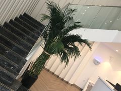 -PETIT PARIS 小巴黎(凯德1818店)