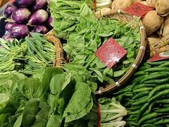 -杨厨的田园饭店(长城路店)