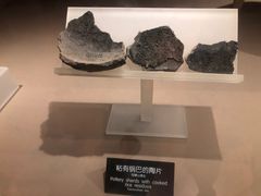 -河姆渡遗址博物馆