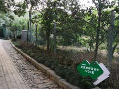 -雨花胜境