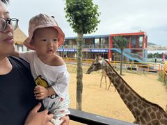 -西霞口神雕山野生动物世界