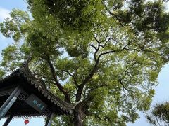 -中山詹园