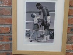 -Uppercut拳馆·Boxing拳击·Muay Thai泰拳