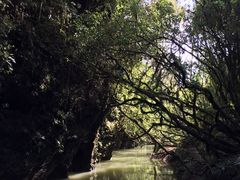 -怀托摩萤火虫洞