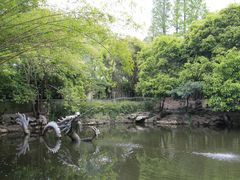 -汇龙潭