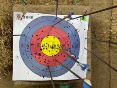 -道顺射箭·团建·骑射(张杨路店)