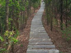 -中山市树木园