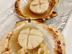 鲜甜大元贝-白仁仔· 活烤海鲜 宵夜(豫园店)