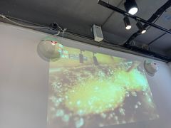 -屋里家延边朝鲜族冷面(梅林3店)