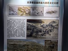 -诸城市恐龙博物馆