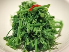 -觀芷隐轩
