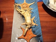 鲜人参锅底-千岛蚝高压锅生蚝·人参火锅(白云万达店)