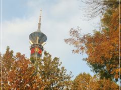 -裕华世纪公园