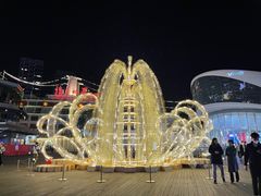 -润园四季椰子鸡火锅(海上世界店)