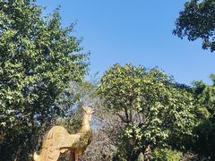 -德宏芒市国际机场