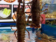 -粤盛海鲜平价店(洛溪食街店)