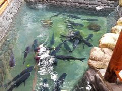 -耕渔小院·湖南鱼鲜(望城店)