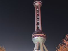 -怡咖啡海鲜自助餐厅(浦东香格里拉店)
