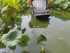 -北陵公园