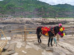-陕西黄河壶口瀑布旅游区