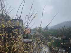 -燊海井