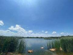 -呈贡滇池生态湿地公园