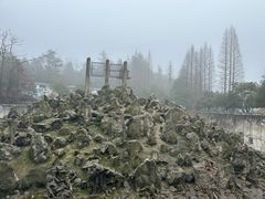 -贵州森林野生动物园