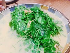 河蚌秧草-周家二小姐的菜(西津渡店)