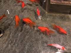 -新沸腾鱼乡(世贸天阶店)