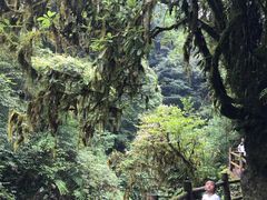 -西岭雪山大飞水景区