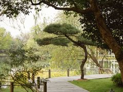 -新荣记(西溪湿地店)